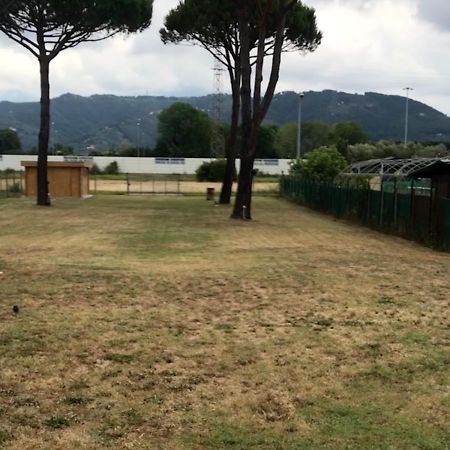L'Alloggio Del Capitano Viareggio Exterior foto